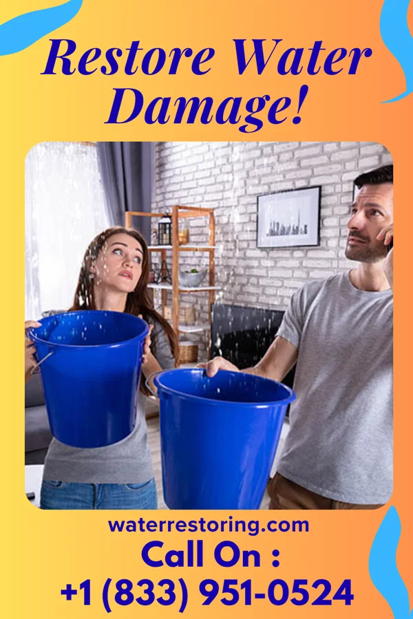 water restoration Frontier Damage Recovery Delacroix